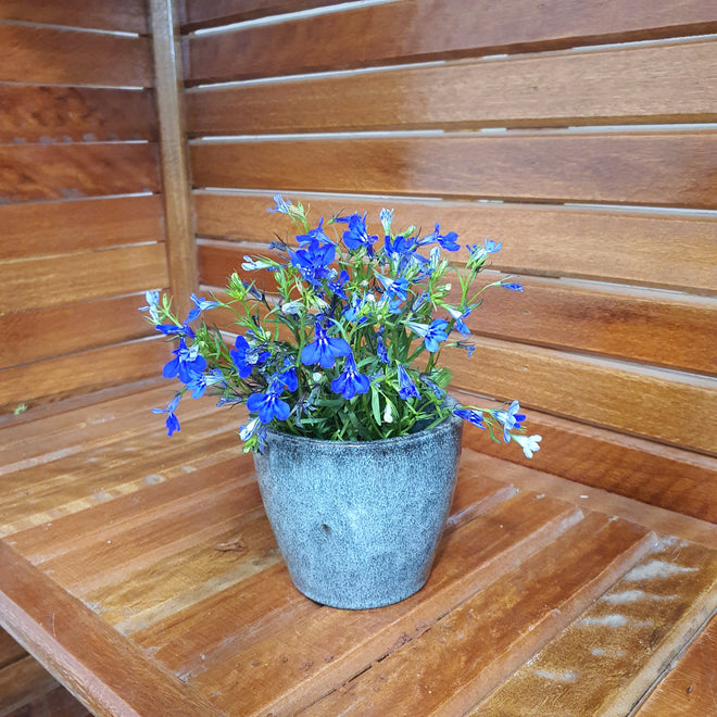 Vaso Cachepot de Cerâmica Esmaltado Brilhante
