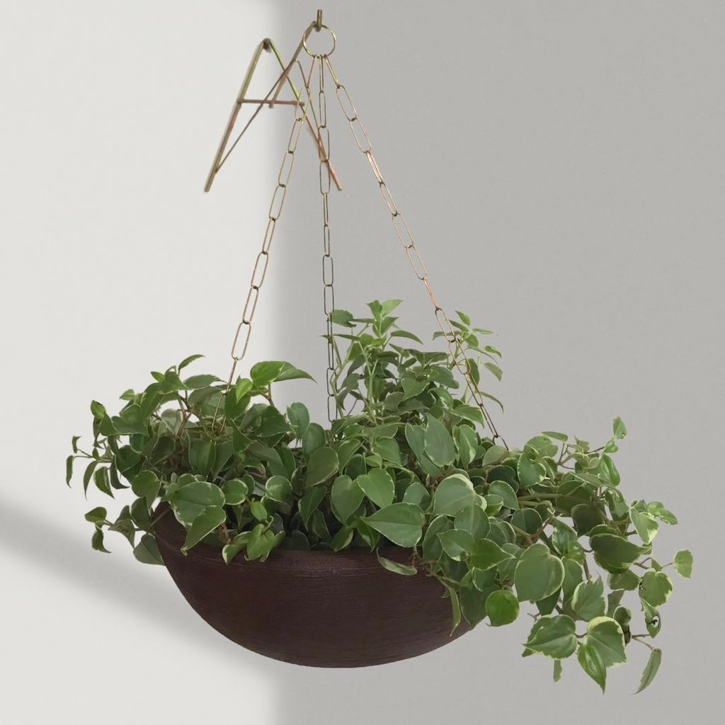 Suporte A de Ferro para Vasos Suspensos 20cm