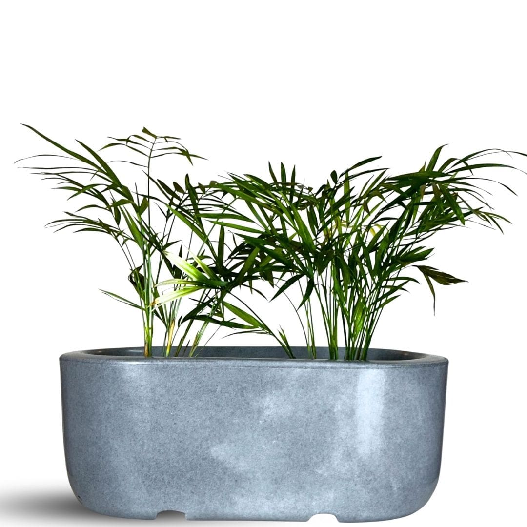Jardineira Doha em Polietileno 30x17cm
