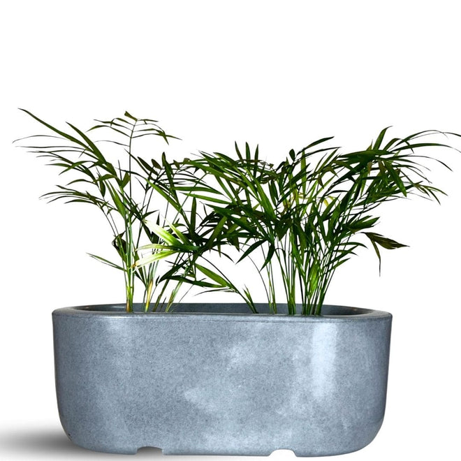 Jardineira Doha em Polietileno 30x17cm