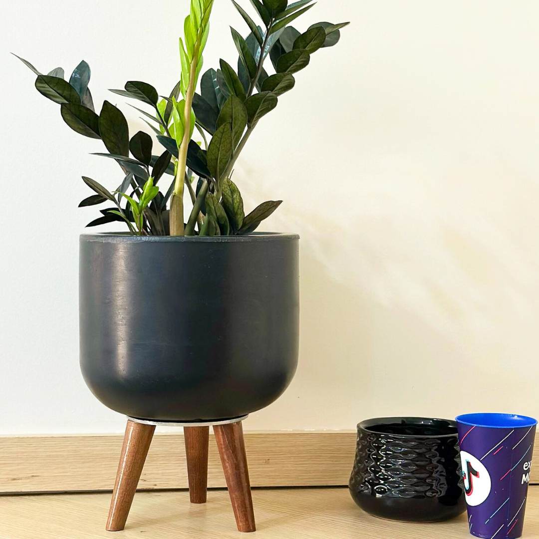 Vaso Doha Médio com Tripé de Madeira