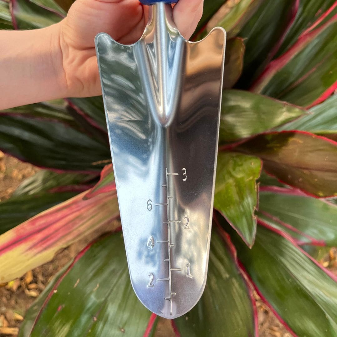 Pá de Jardim Estreita em Aço Inox com Medidor