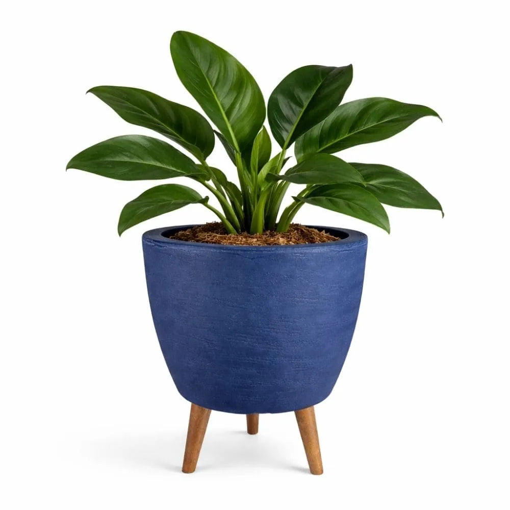 Vaso Linha Berlim com Tripé