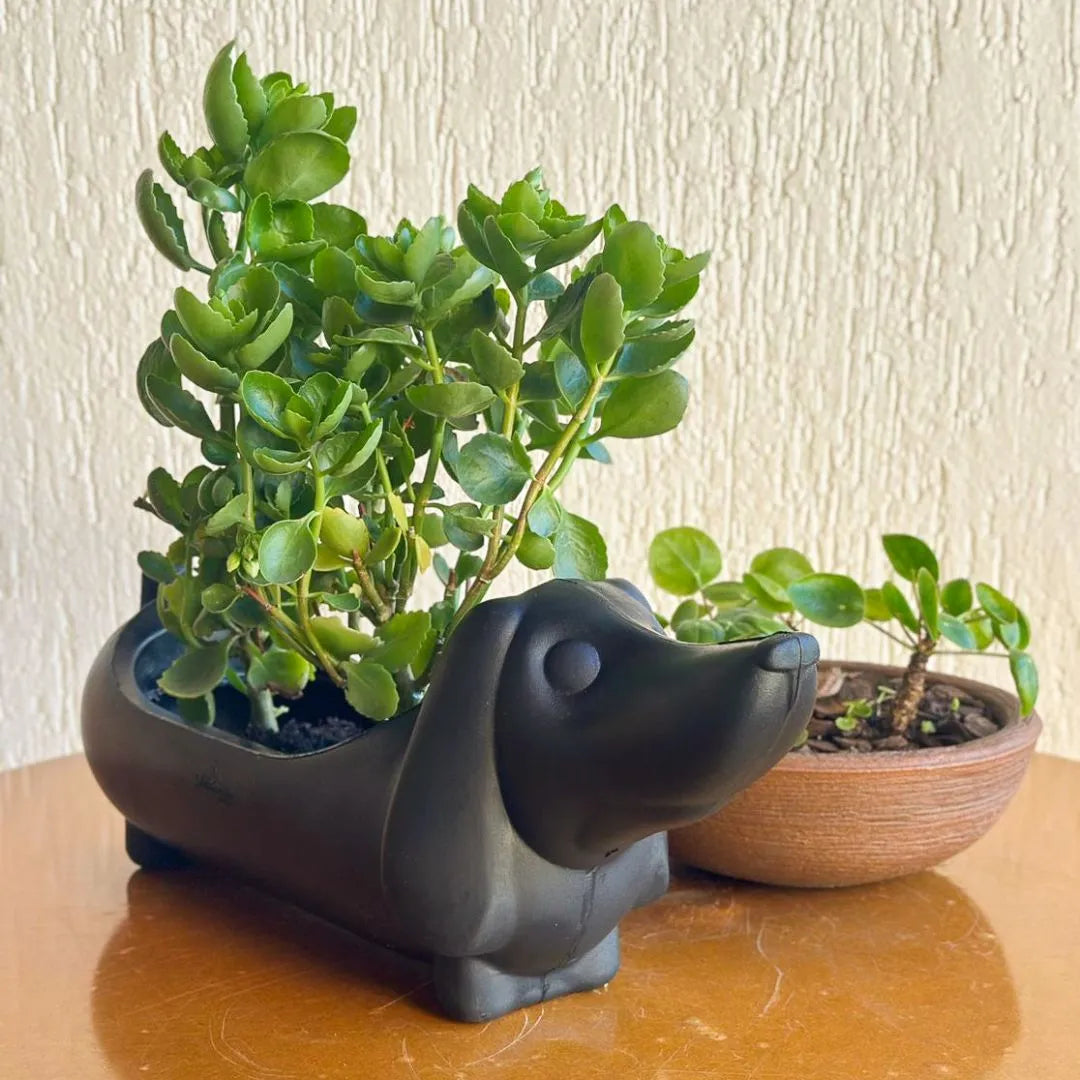 Vaso Decorativo Cachorro