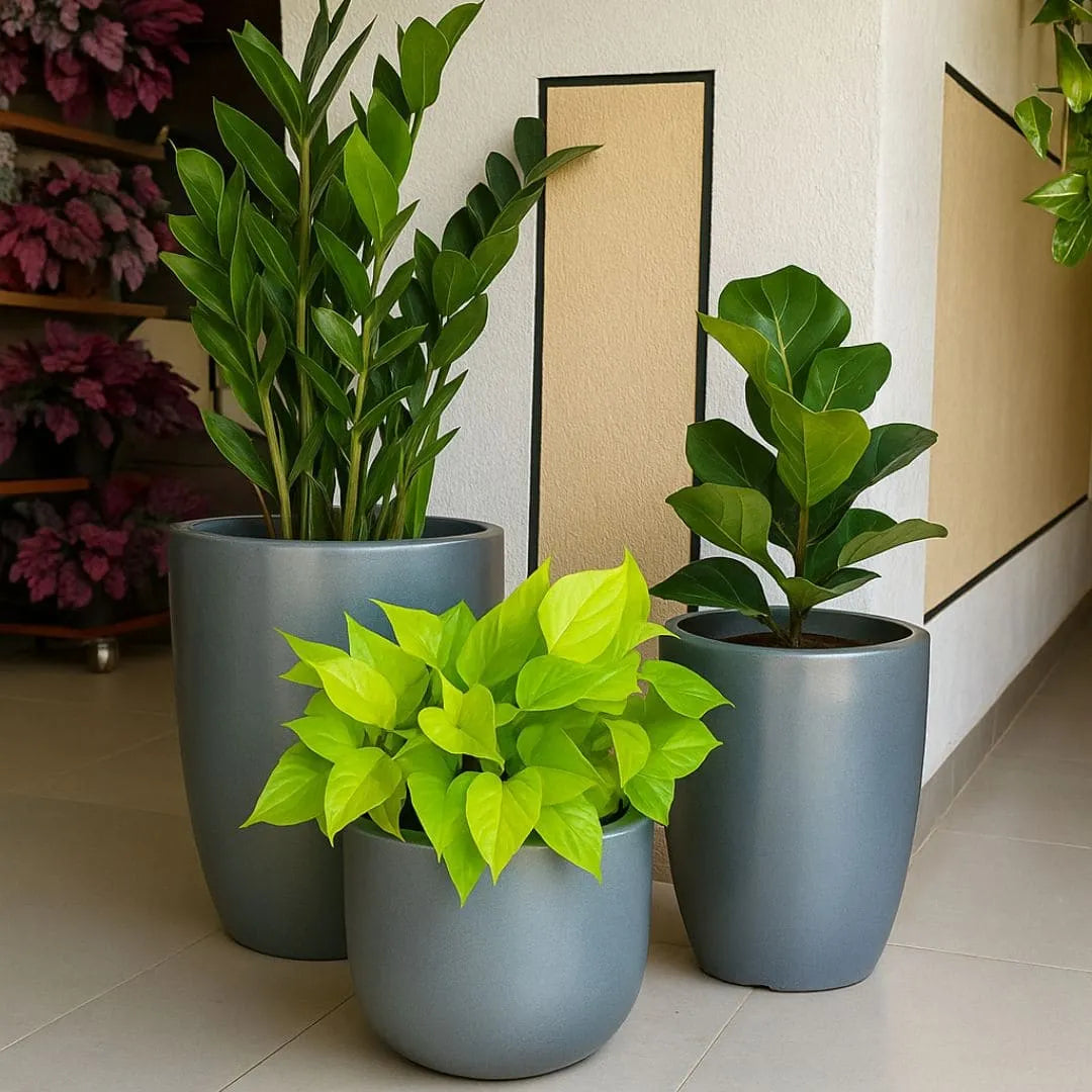 Kit 3 Vasos Polietileno Cone + Bacia