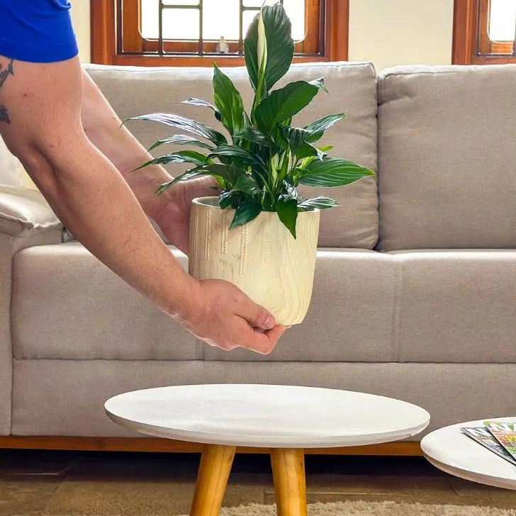 Vaso Cachepot Linha Genebra com Suporte de Madeira Alto