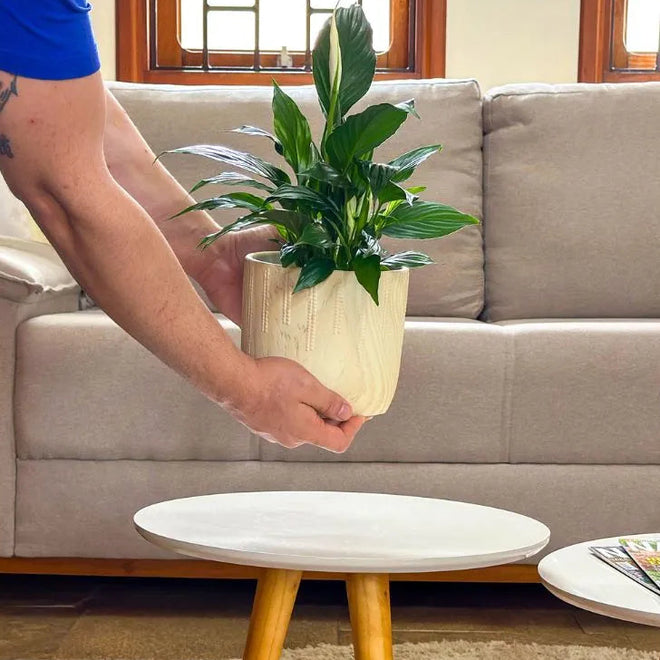 Vaso Cachepot Linha Genebra com Suporte de Madeira Alto