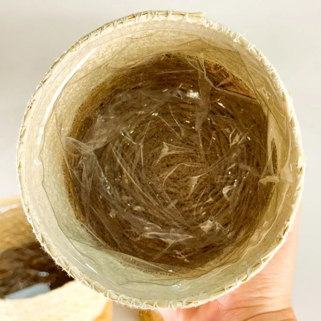 Kit 3 Cachepots Cesto Palha para Decoração