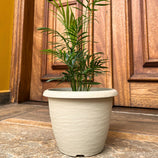 Vaso Redondo Linha Siena em Polipropileno