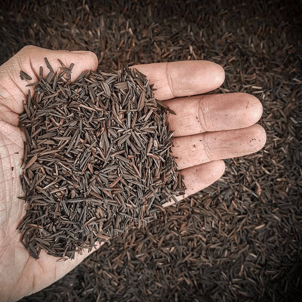 Casca de Arroz Carbonizada (CAC) 3L