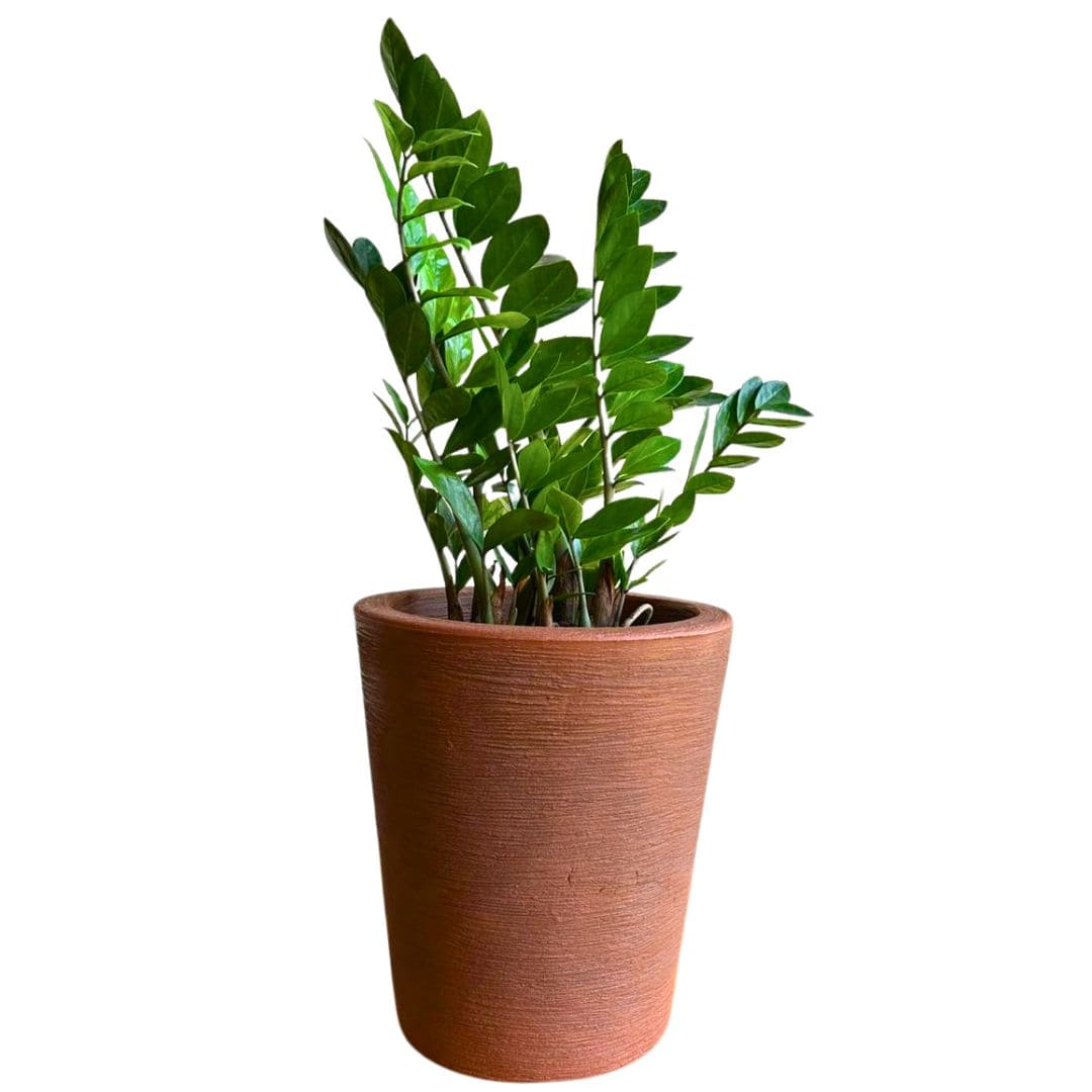 Kit 3 Vasos Decorativos em Polietileno