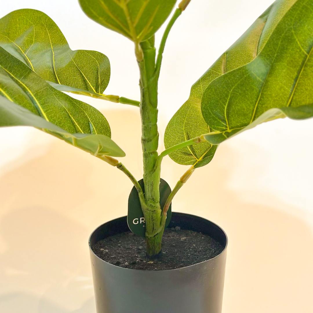 Planta Artificial Ficus Lyrata 80cm