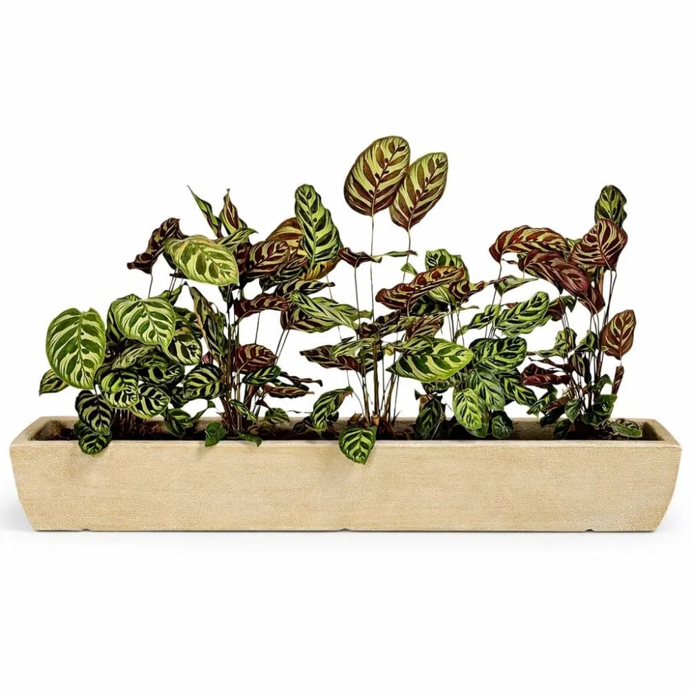 Jardineira Viena Fina em Polietileno