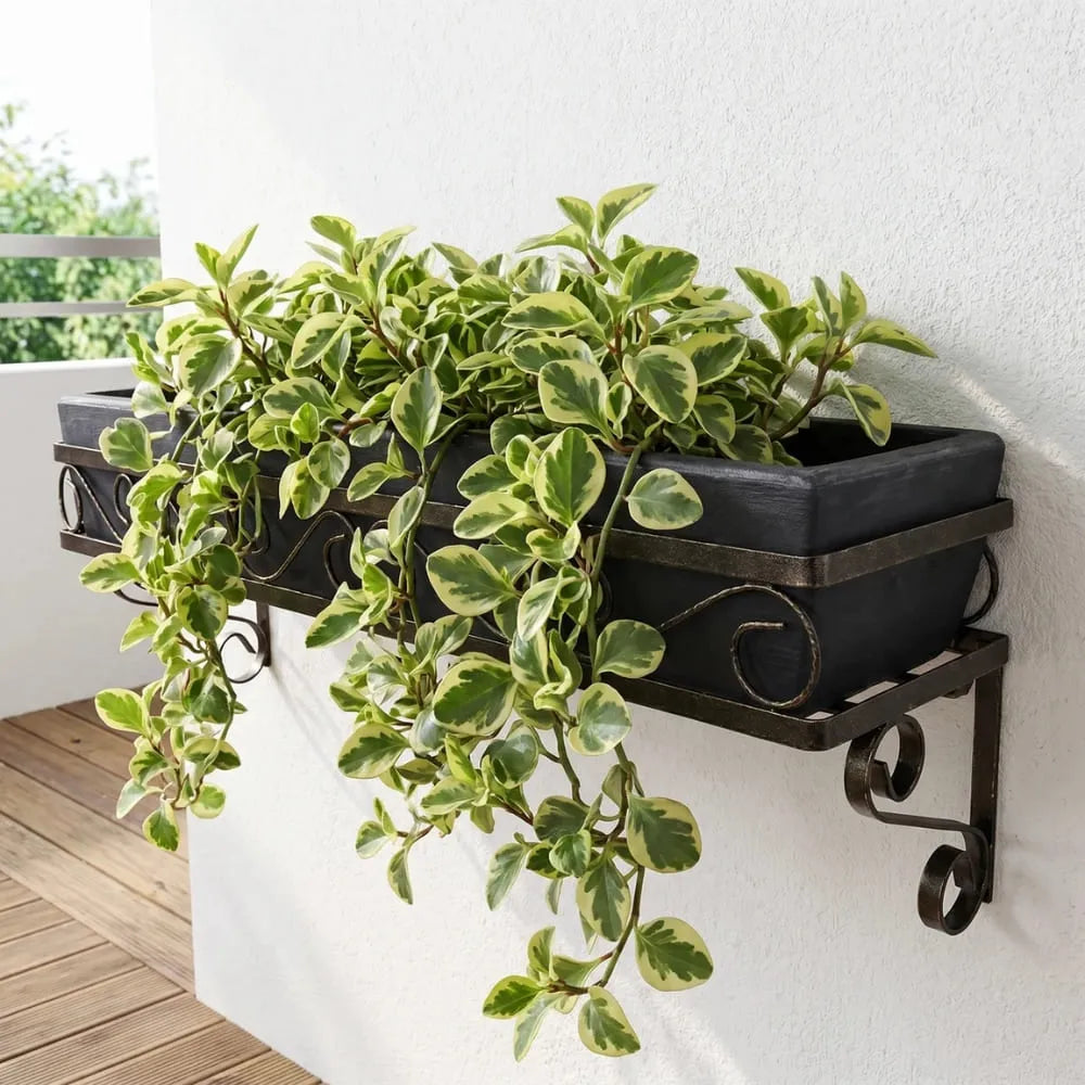 Suporte de Parede Mão Francesa para Jardineiras