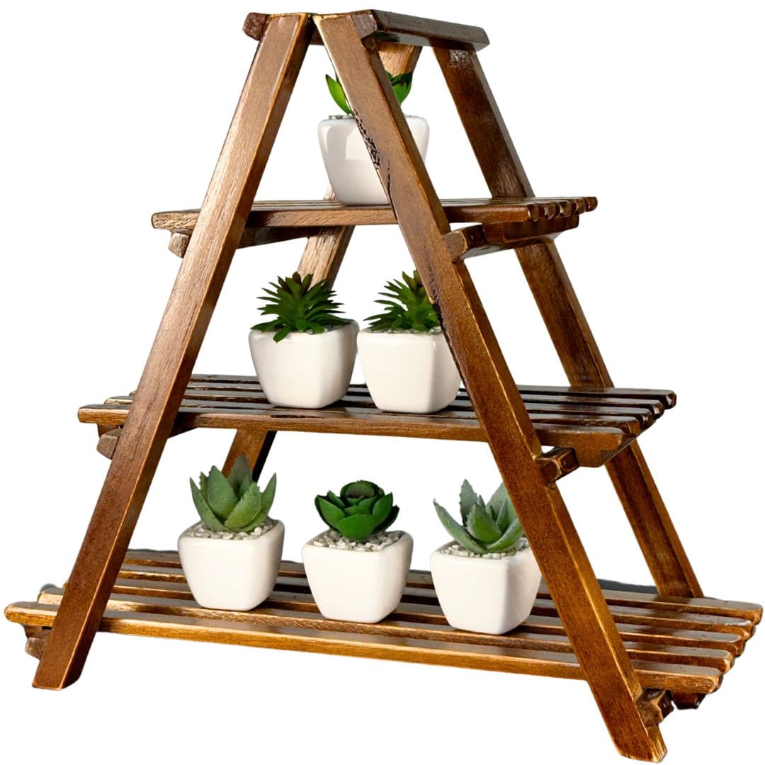 Suporte Prateleira de Madeira para Suculentas