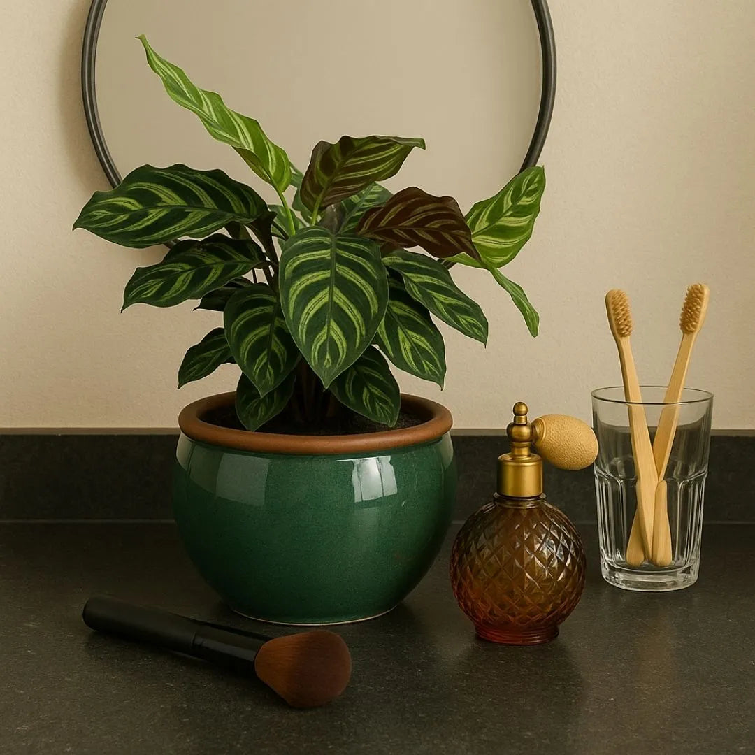 Vaso Cachepot em Cerâmica Esmaltada 18,5cm