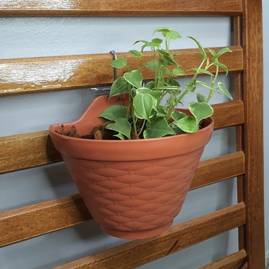 Meio Vaso de Parede para Jardim Vertical