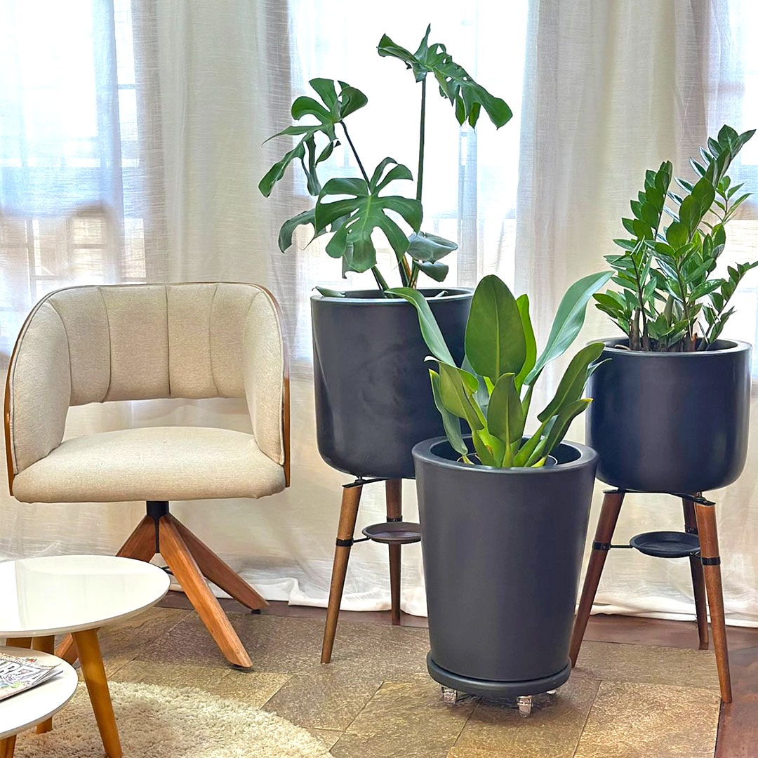 Kit Com 3 Vasos de Luxo Para Planta Decoração Apartamento