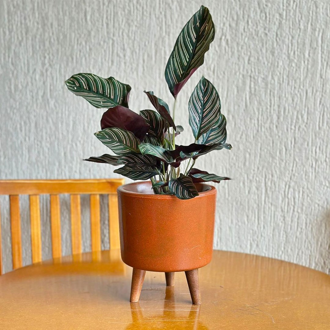 Mini Vaso Linha Doha 22cm com Tripé