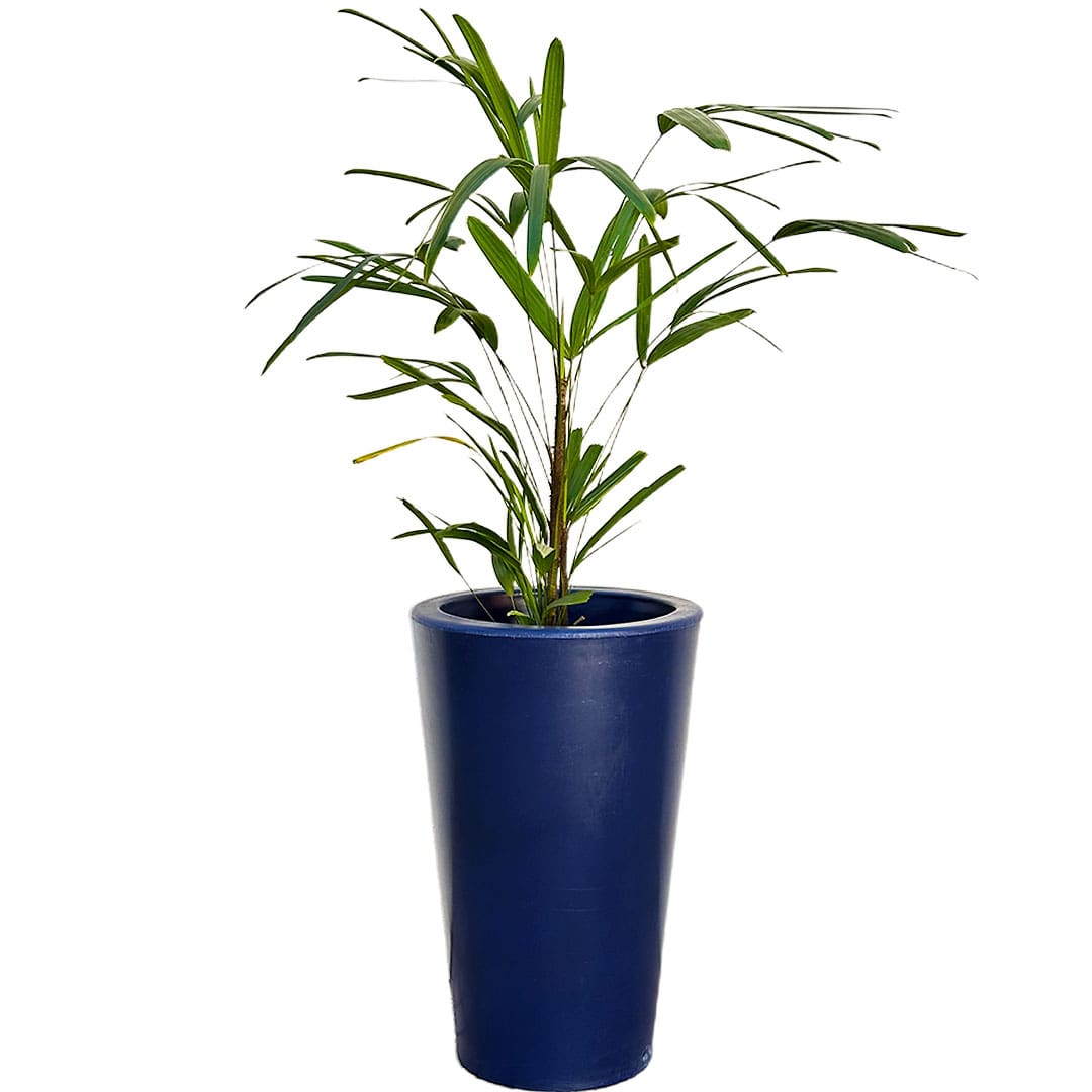 Kit 3 Vasos Damasco Brilhantes