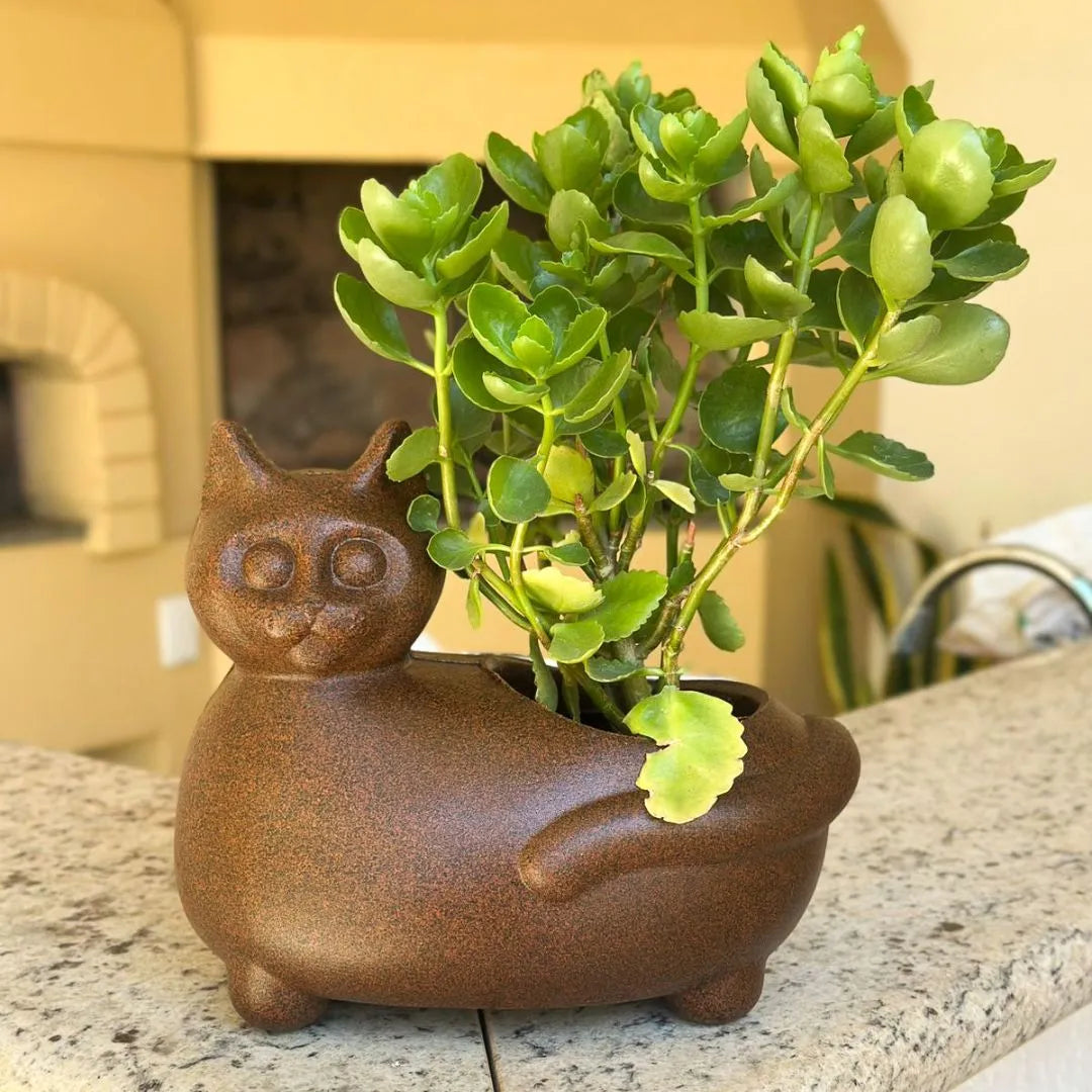 Vaso Decorativo Gato