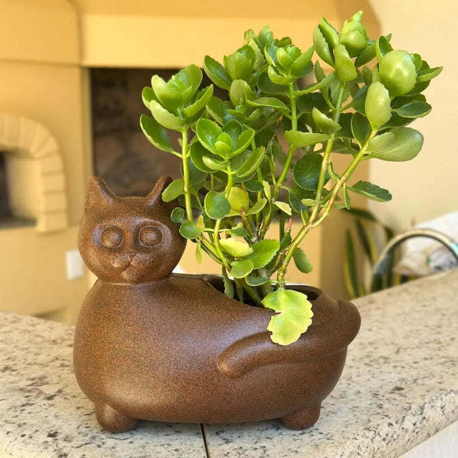 Vaso Decorativo Gato