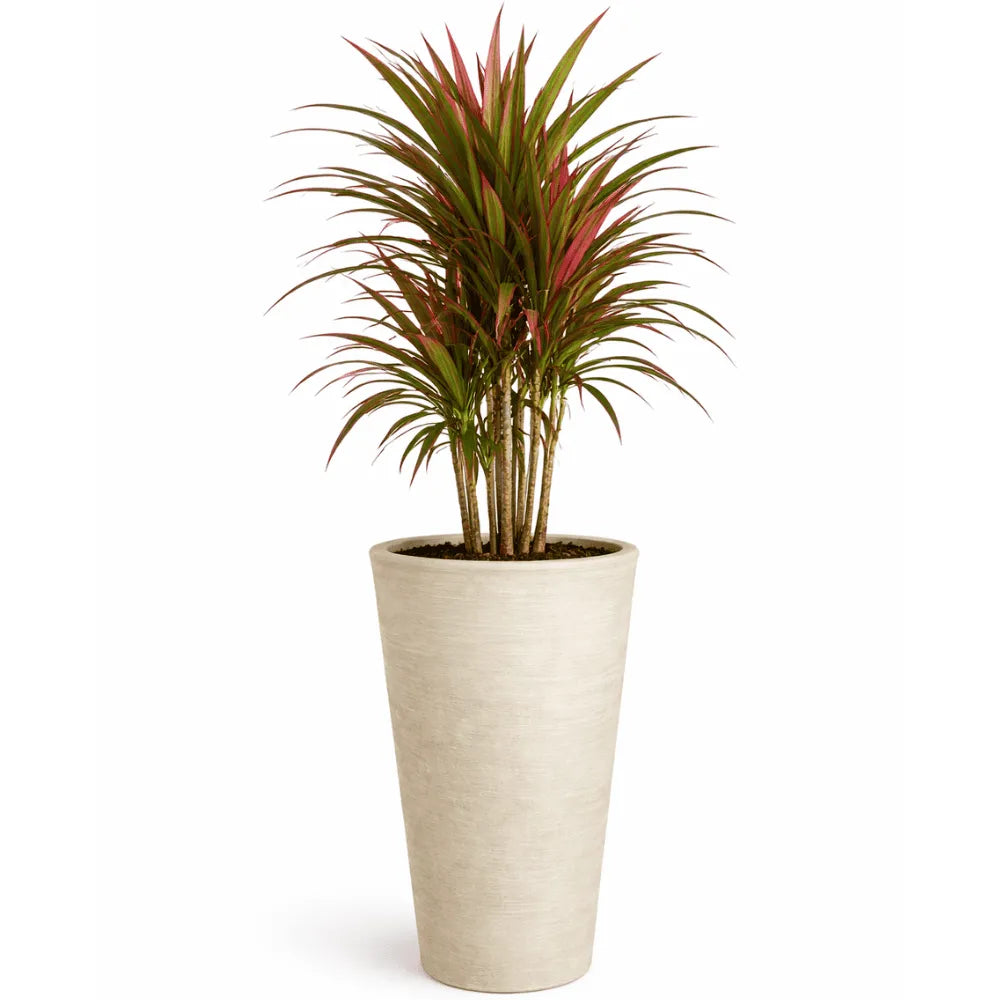 Vaso Texturizado Damasco em Polietileno