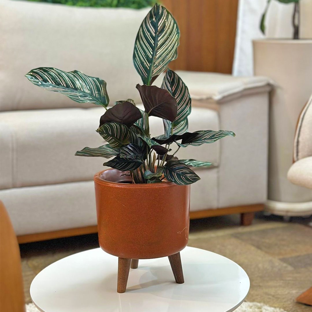 Mini Vaso Linha Doha 22cm com Tripé