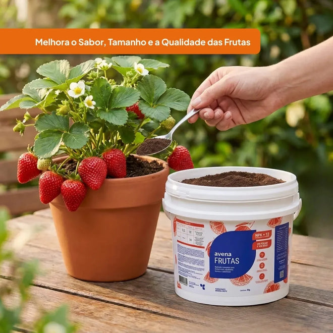 Adubo Para Frutas Fertilizante Avena 3kg