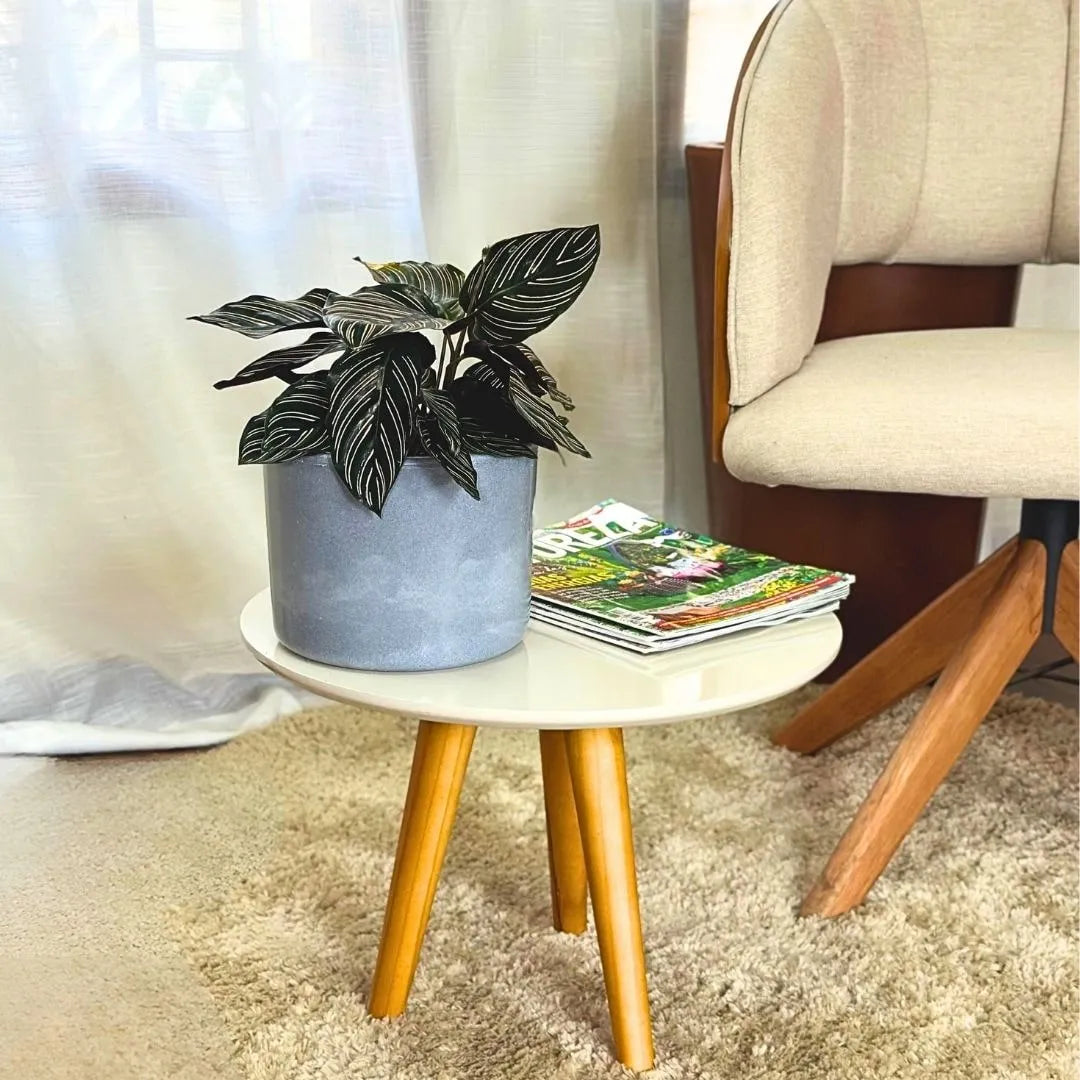 Vaso Decorativo Redondo Mini Doha 14x19cm