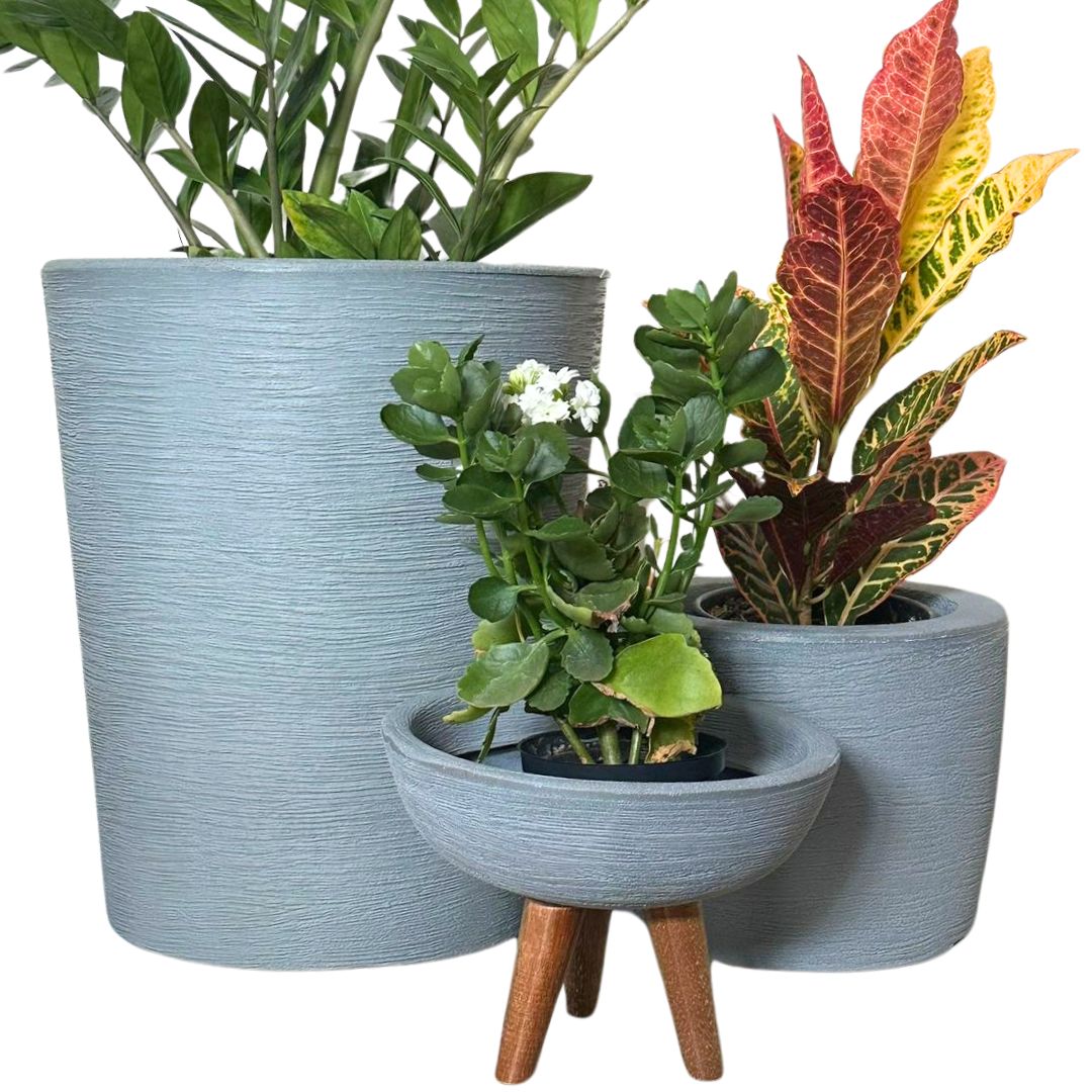 Kit 3 Vasos Decorativos para Pequenos Espaços