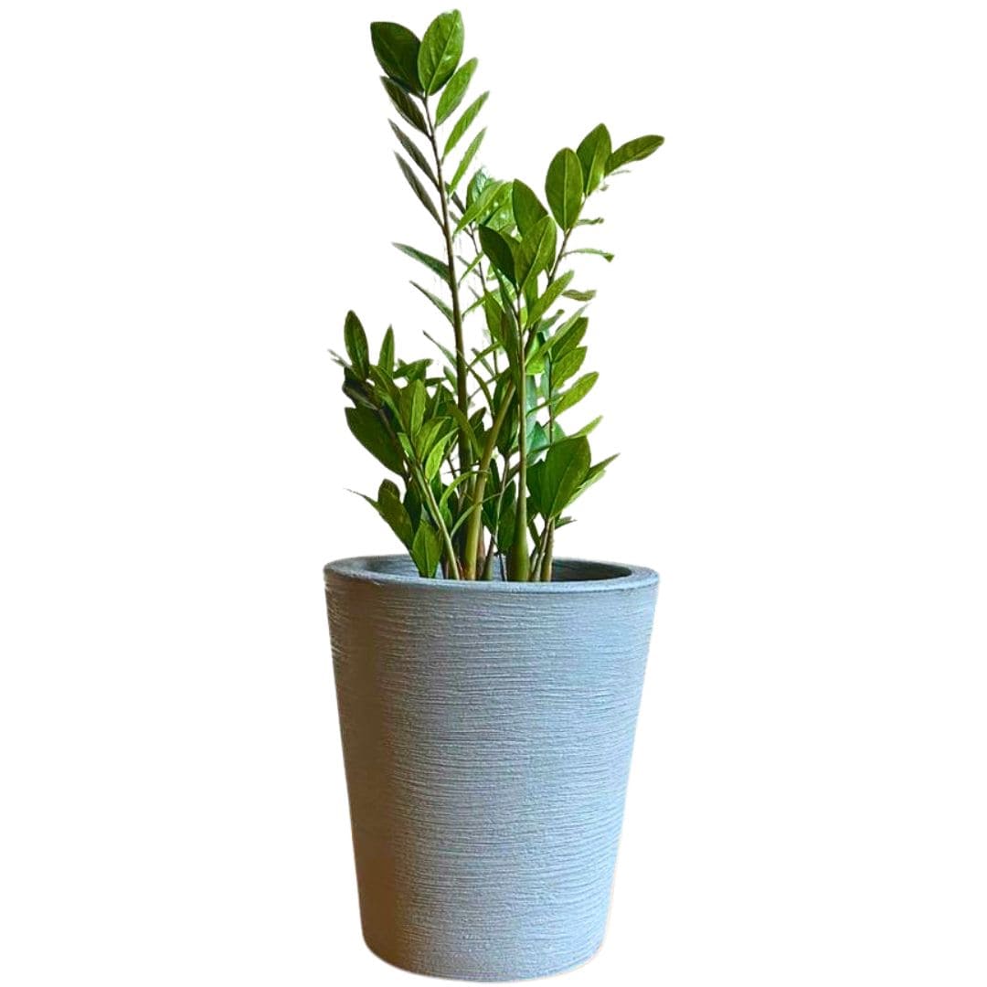 Kit 3 Vasos Decorativos para Pequenos Espaços