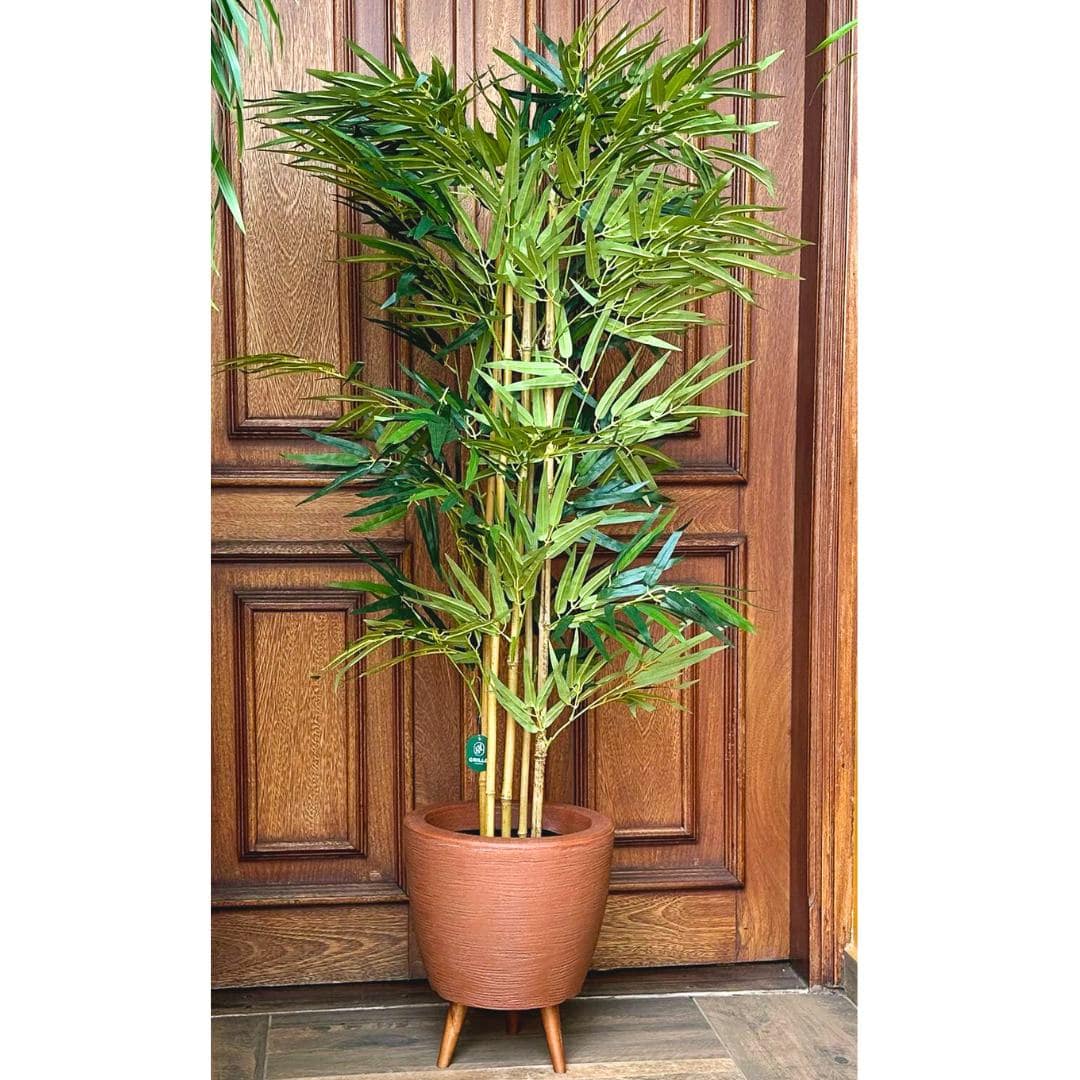 Planta Artificial Árvore Bambu Mossô Real Decoração 1,6m