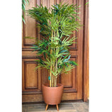 Planta Artificial Árvore Bambu Mossô Real Decoração 1,6m