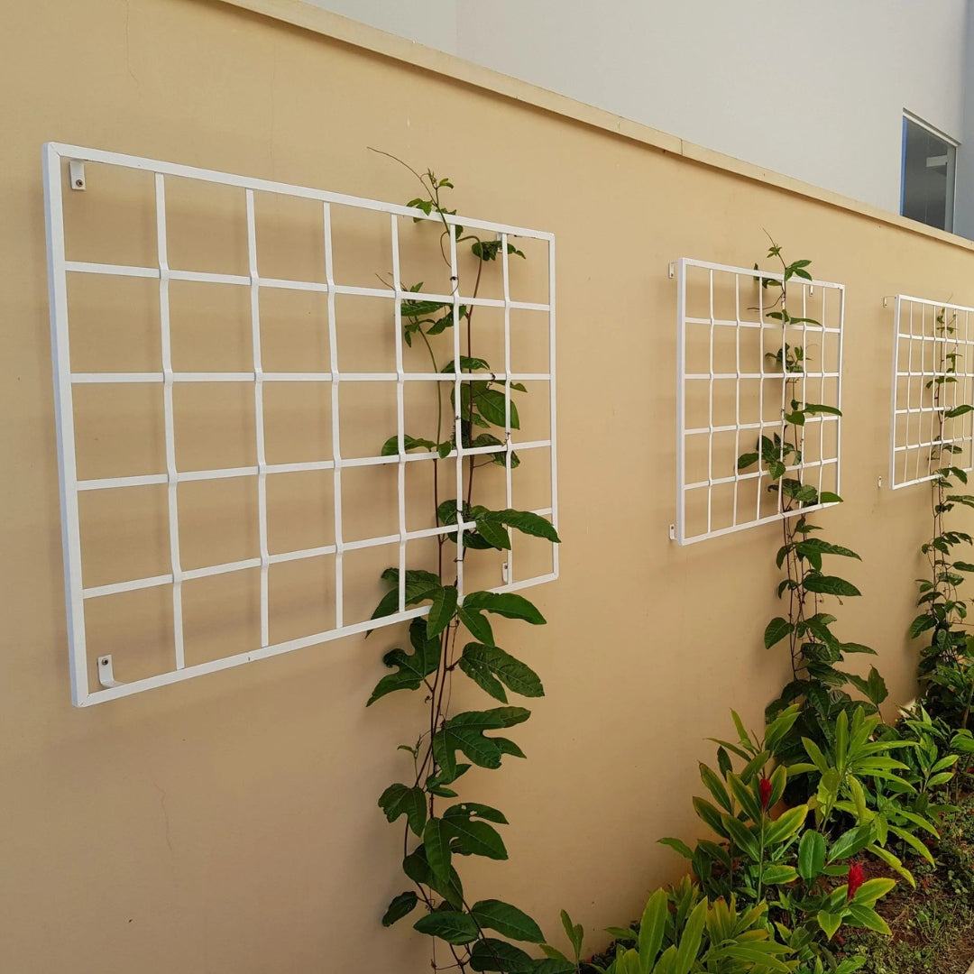 Painel de Ferro para Jardim Vertical
