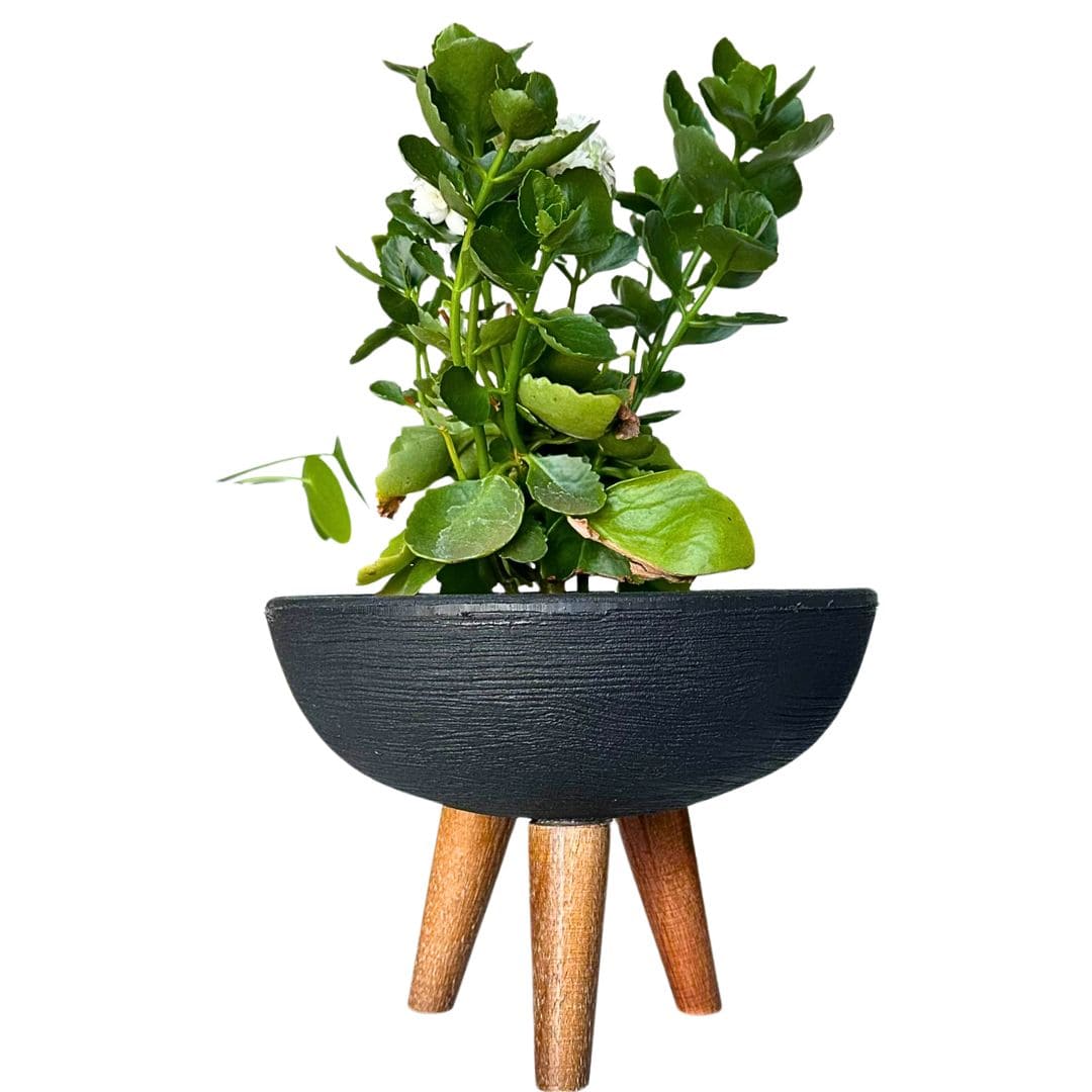 Kit 3 Vasos Pequenos para Espaços Compactos