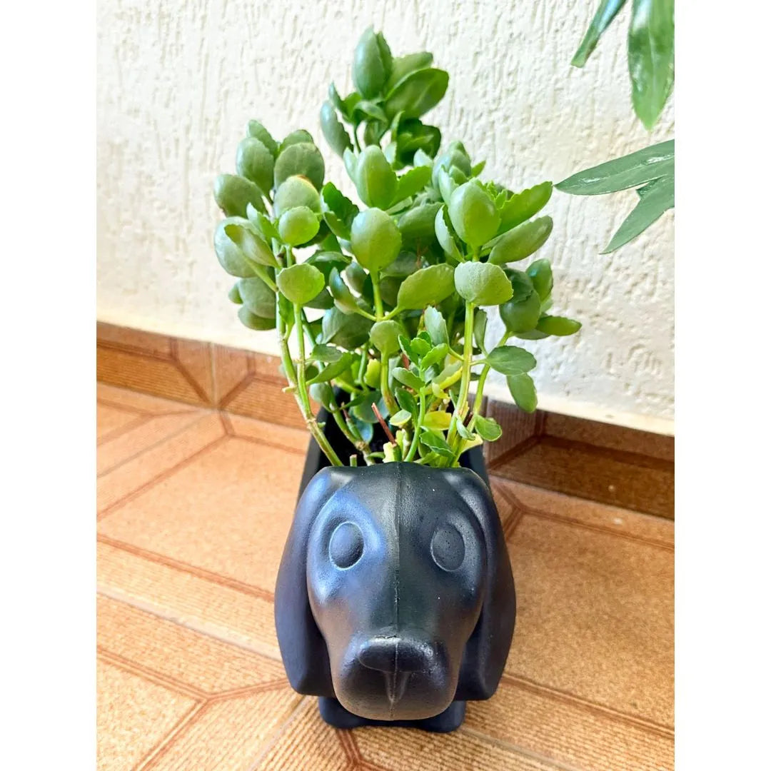 Vaso Decorativo Cachorro