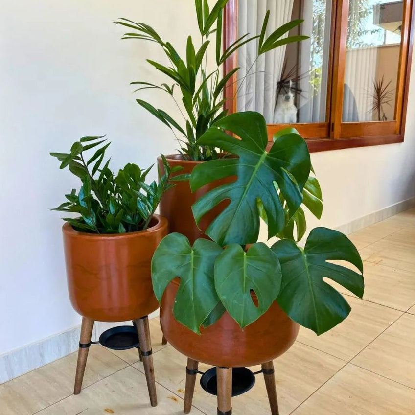 Kit 3 Vasos Linha Doha com Tripé de Madeira