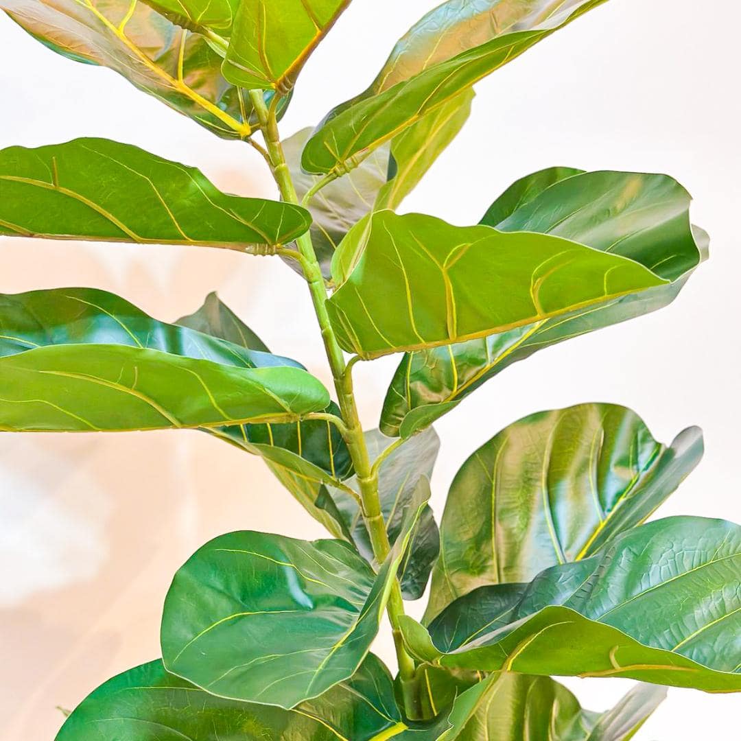 Planta Artificial Ficus Lyrata 1,5m