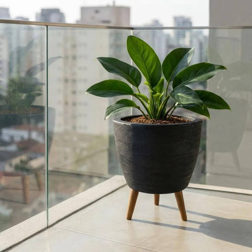 Vaso Linha Berlim com Tripé