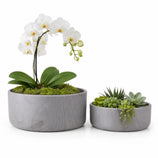 Kit 2 Vasos Bacia Linha Genebra em Cerâmica
