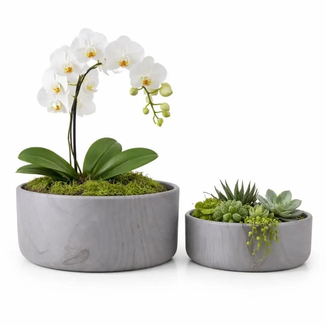 Kit 2 Vasos Bacia Linha Genebra em Cerâmica