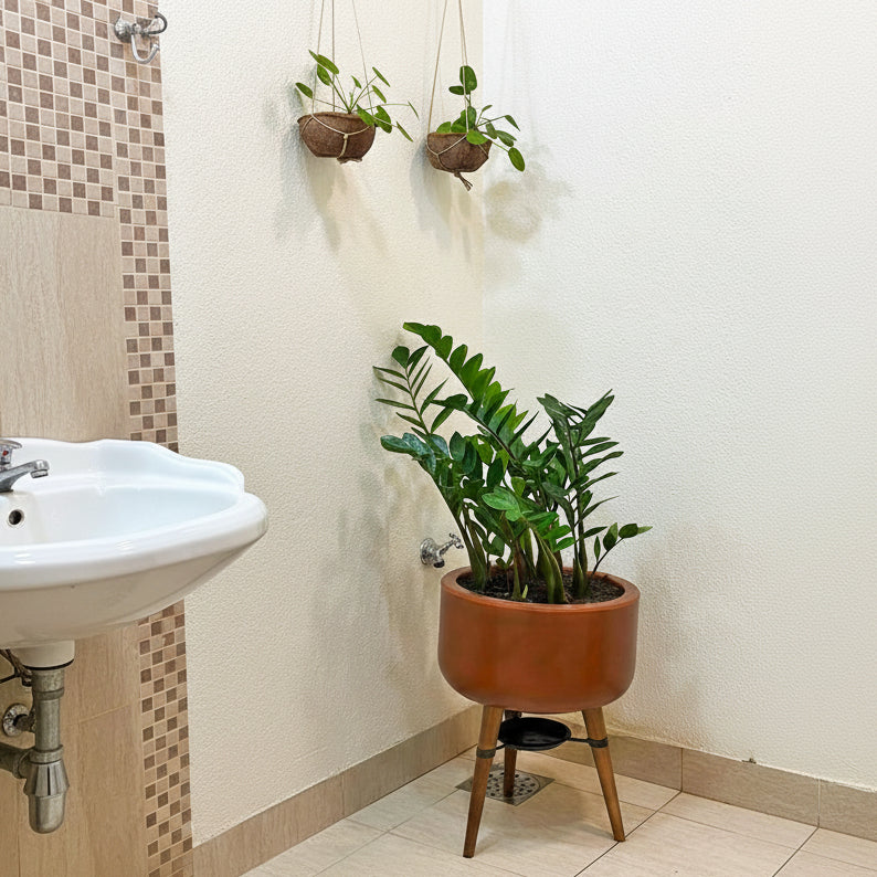 Vaso Bacia Linha Doha com Tripé de Madeira