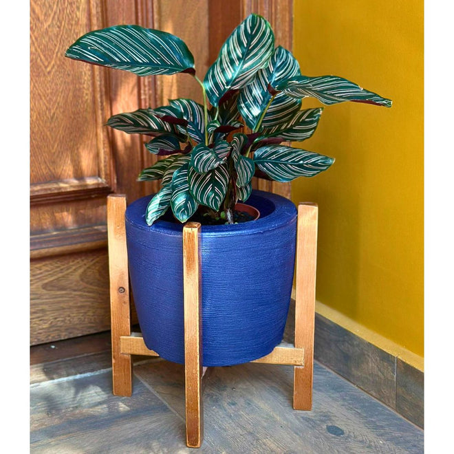 Kit Vaso Decorativo em Polietileno + Suporte de Madeira Rústica