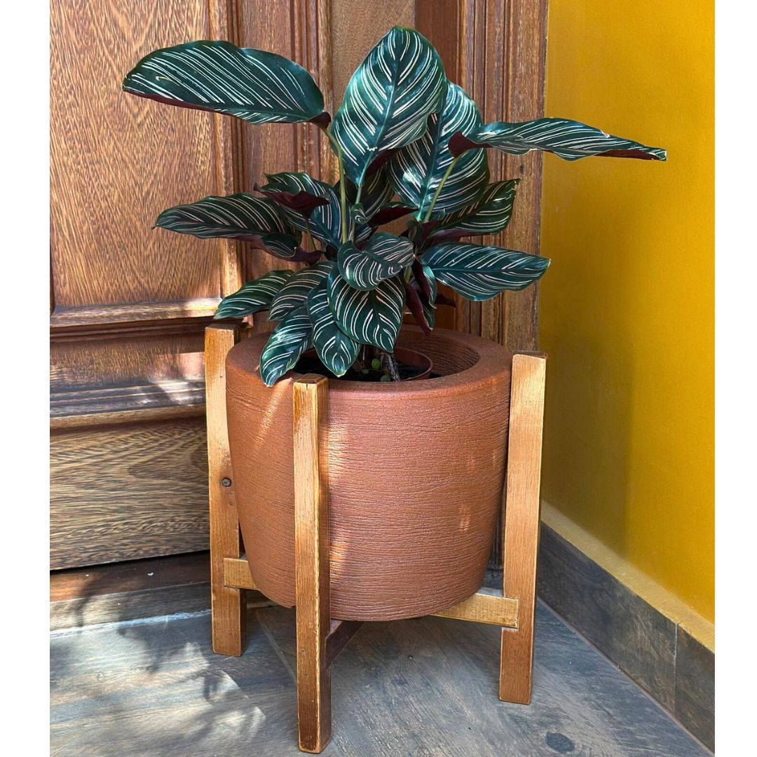 Kit Vaso Decorativo em Polietileno + Suporte de Madeira Rústica