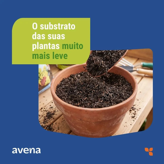 Casca de Arroz Carbonizada Substrato Orgânico Avena 5L