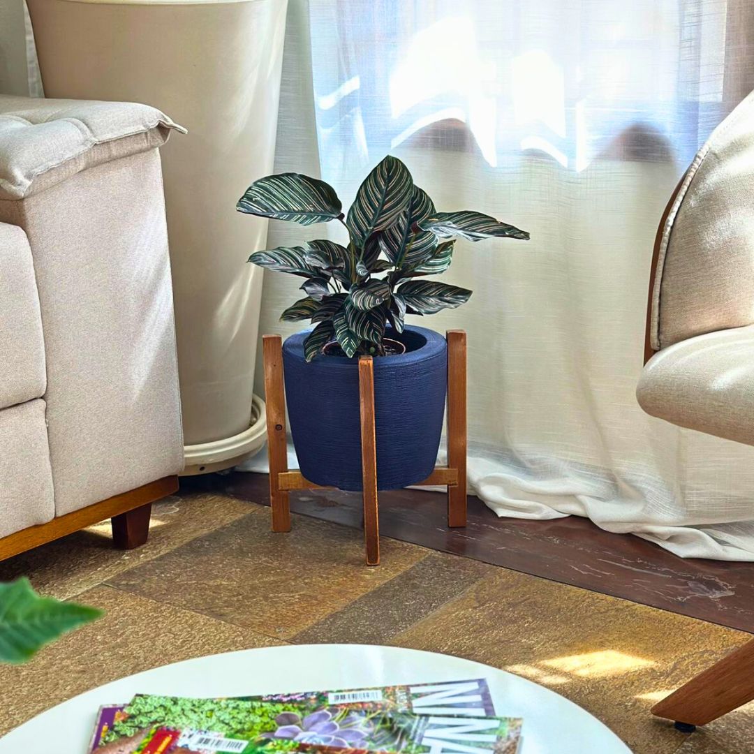 Kit Vaso Decorativo em Polietileno + Suporte de Madeira Rústica