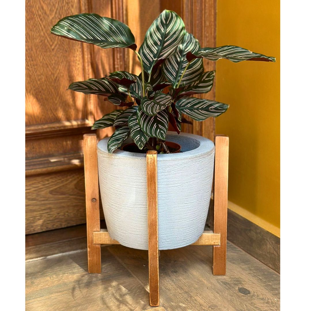 Kit Vaso Decorativo em Polietileno + Suporte de Madeira Rústica