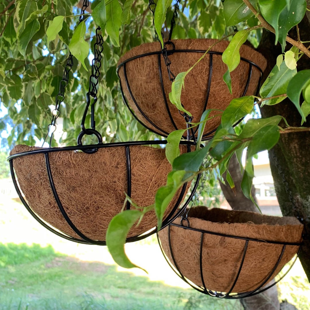 Vaso Suspenso de Fibra de Coco com Corrente