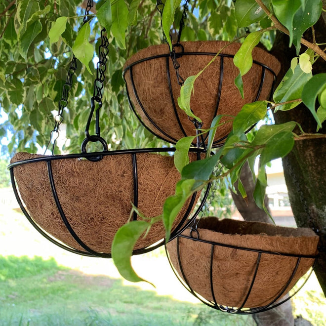 Vaso Suspenso de Fibra de Coco com Corrente